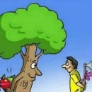 송도간장게장 이미지