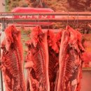 예성농장 이미지