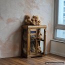 동탄원천로2-45L | 동탄 수원 아기사진관 | 페이지원스튜디오 200일 사진 가족사진 촬영 후기 (크리스마스, 미니언즈, 자연...