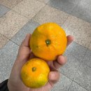 신대2길 38-15, (단월동) | 정신없고 바쁜 11월 _ 절반이 먹는 일상