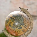 휴동물의료센터 이미지