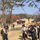 5일장터 이미지