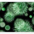 미래약품 주식회사 이미지