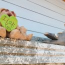 화천연세의원 이미지