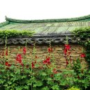 학동마을 이미지