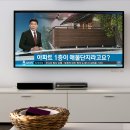 계륵 이미지