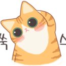 서대신 엔스타 이미지