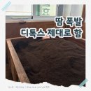 금화 | 인천 효소찜질 금화효소원 후기｜산후조리, 면역력 강화, 다이어트 등에 추천