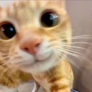 맥도날드수유점 이미지