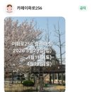 이화로 | 평택 죽백동 애견 동반 분위기 좋은 대형 브런치 카페 <이화로 256> 브런치 후기