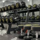 하드캐리짐 이미지