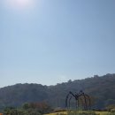 역동 27-153 | 국제갤러리 Louise Bourgeois 루이스 부르주아 개인전 <The Smell of Eucalyptus 유칼립투스의 향기>