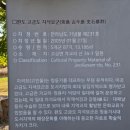 완도 고금도 지석묘군 이미지