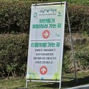 보성녹차식품개발원 | 전남 보성 다향대축제 대한다원 말차 먹거리 후기