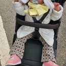 아기다람쥐 | [아기 신발] 아가방 지니다람쥐 삑삑이 운동화 130사이즈 내돈내산 구매후기