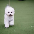 화이트썬데이 이미지