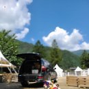 미산애견 이미지