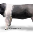 종화축산 이미지