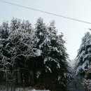 춘하추동 추어탕 이미지