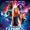 왜 그들은 ‘더 마블스’의 패배를 바라는가 [IS포커스] 이미지