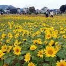 (주)송현 이미지