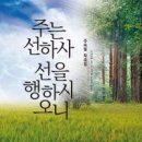 선하사 이미지