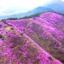 진달래펜션 이미지