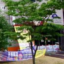 삼촌네족막 이미지