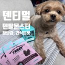 어스덴탈헬스케어 | 강아지 치석제거와 노즈워크를 동시에 덴티멀 덴탈몬스터 푸카&덴탈트릿 리얼후기