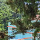 투썸플레이스삼척해수욕장점 | 삼척 여행 1박 2일 3탄 투썸플레이스 삼척조각공원점 쏠비치삼척 근처 동해뷰 포토존 삼척 까페