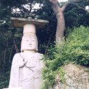 대조사 - 1400 | 대조사