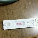 트렌드세터 | 유행을 놓치지 않는 트렌드세터의 A형독감 후기 쪄옴