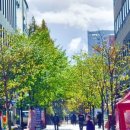 화정중앙공원 이미지