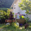 산타루치아 펜션 이미지