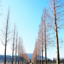 스파뷰호텔 이미지