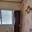 무주읍244 Daum카페