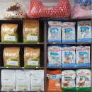 나르매애견 이미지