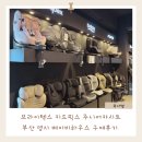 반구2동어린이집차량1대 | 내돈내산 부산 명지 베이비하우스 주니어카시트추천 브라이텍스 키드픽스 아이사이즈 ADAC점수 아이소픽스