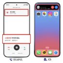 에이피싱