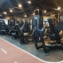 스마일피티 이미지