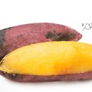 너잇템 이미지