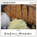 멘야무테키 | 문래 홈플러스 돈까스 멘야무테키