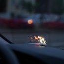 신호카포스 이미지