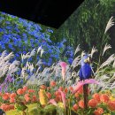 경주동궁원 주령구화장실 | 경주 아이와 가볼만한곳 라원 오픈! 제2의 동궁원 미디어아트 실내 놀거리 추천