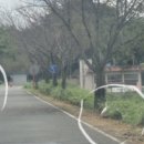대산문화체육공원(플라워랜드) 네이버블로그
