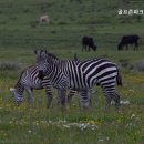 위너 스크린 골프장 이미지