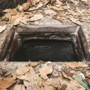 메카니카 이미지