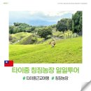 오두농장 | 타이중 칭징농장 일월담 KKday 일일투어 근교 여행 추천
