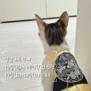 꼼이네일