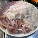 뽀바바 | [경남/창원] 동부회센타